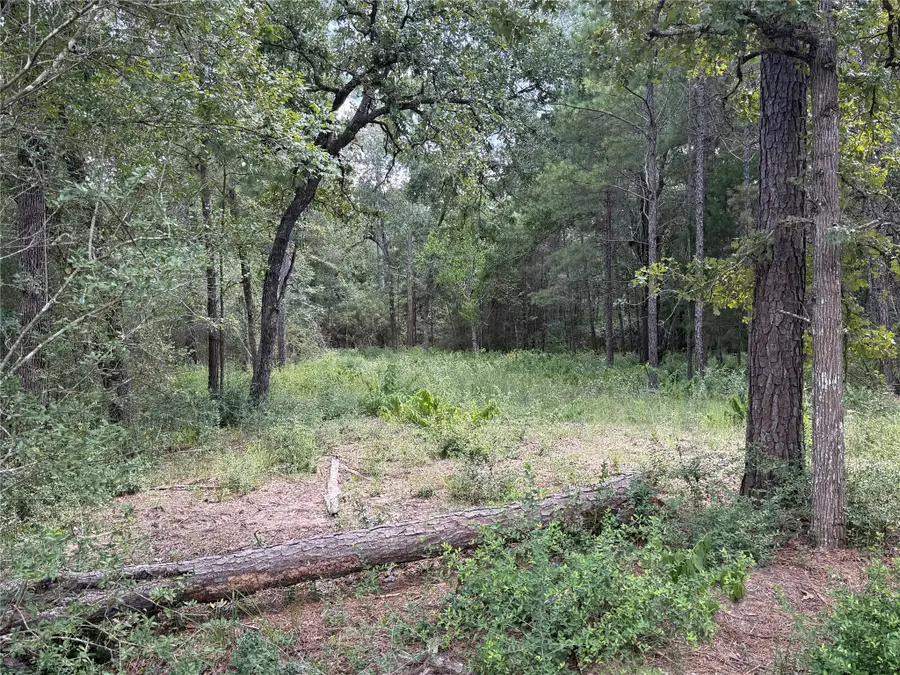 24805 Nottingham Circle, Hockley, TX 77447 - #3