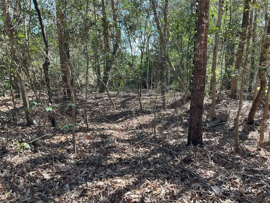 0 Road 2642, Thicket, TX 77374 - Image #3