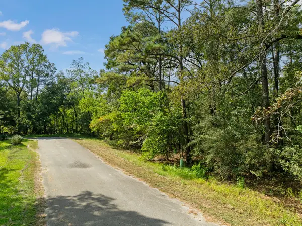 15687 N Park Lane, Porter, TX 77365