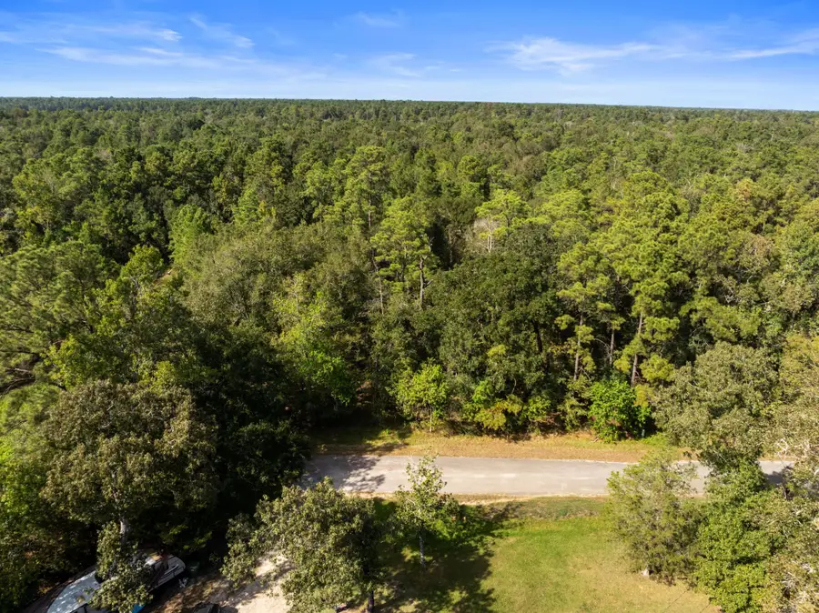 15687 N Park Lane, Porter, TX 77365 - #3