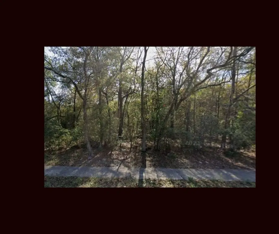 0 Attwater Street, Houston, TX 77028 - #2