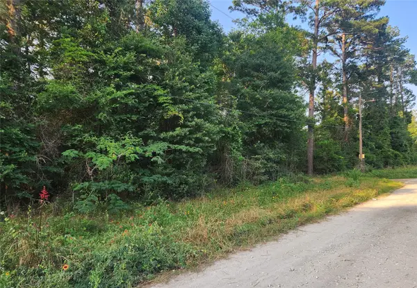Lot 15 Weeping Willow Lane, Plantersville, TX 77363