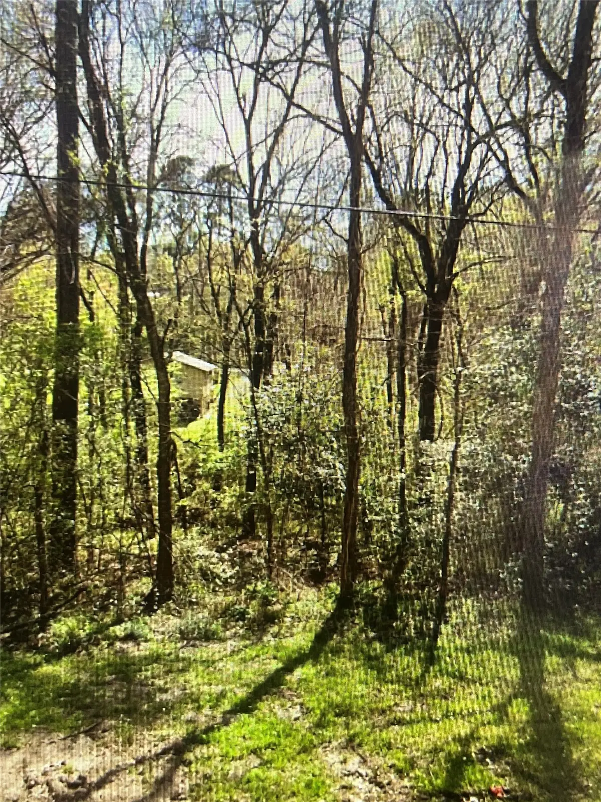 8 White Oak Drive, Point Blank, TX 77364 - #1