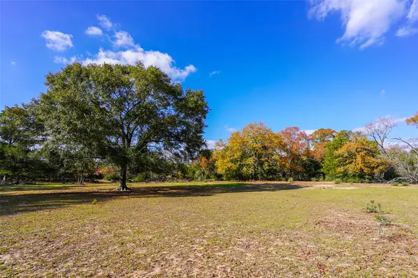 31174 Courtney Rd, Navasota, TX 77868