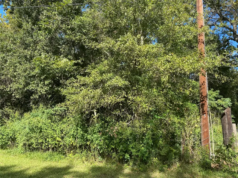 2653 County Road 348, Brazoria, TX 77422 - Image #2