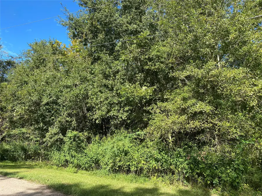 2653 County Road 348, Brazoria, TX 77422 - Image #3