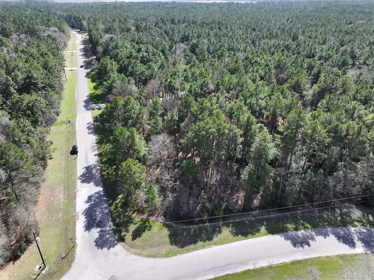 17582 E Terrace Oaks Drive, Waller, TX 77484 - Image #1