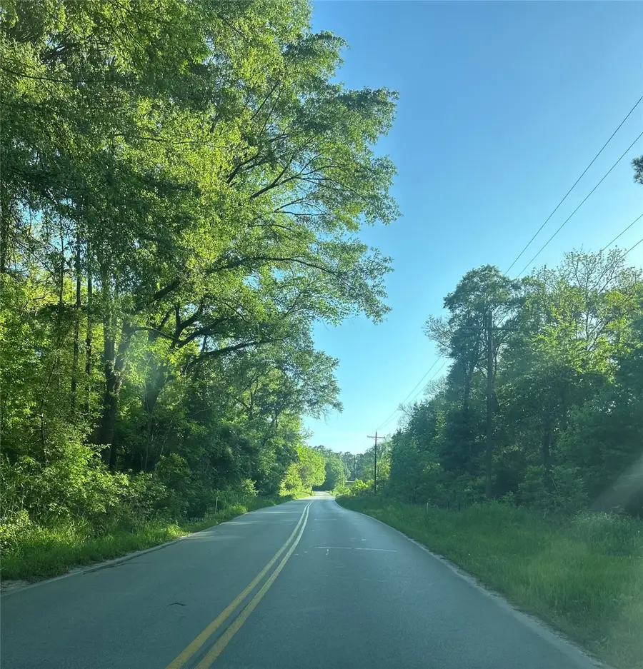 6-6-277 Dipping Vat Road, Huntsville, TX 77340 - Image #3