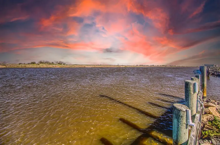 0 Cr 441d, Brazoria, TX 77422 - Image #3