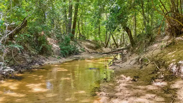 TBD Hwy 69 N, Woodville, TX 75979