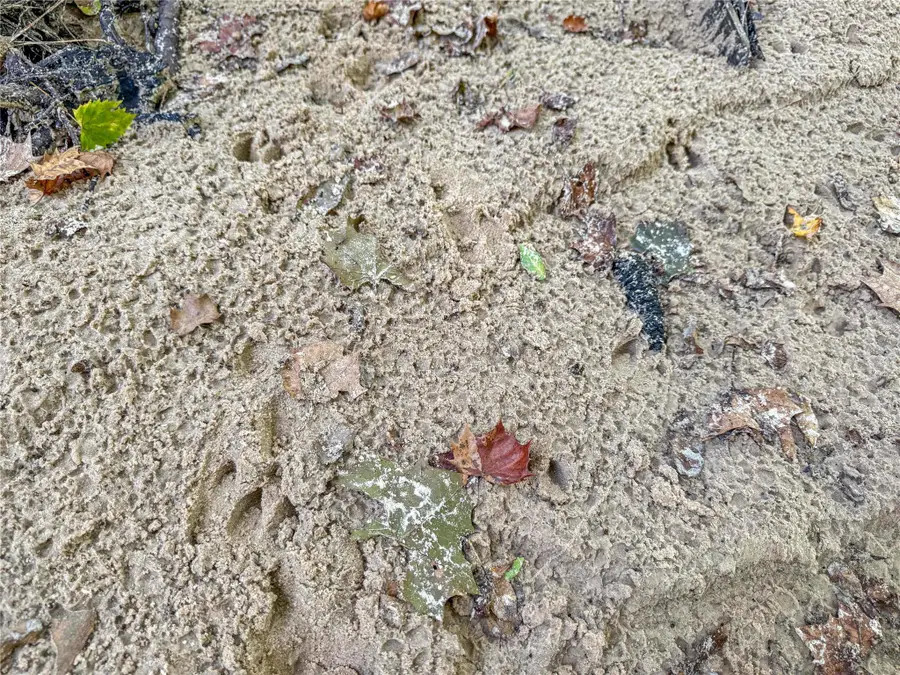 TBD Hwy 69 N, Woodville, TX 75979 - #3