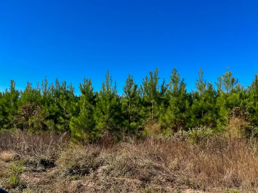 T-5 Fm 787, Votaw, TX 77376 - Image #3