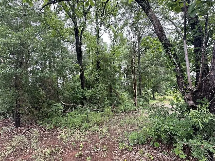 0 W Meredith Street, Marshall, TX 75670 - #1