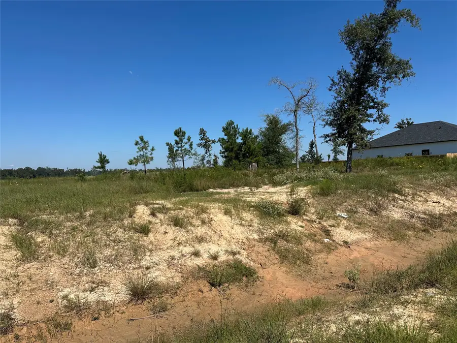 1025 Exotic Pine Street, Huffman, TX 77336 - #2