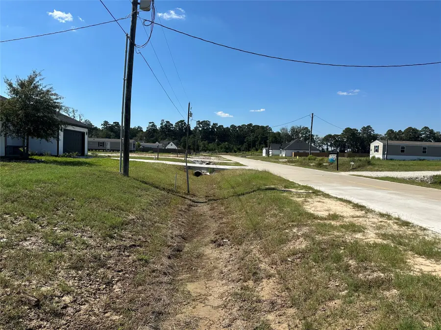 1025 Exotic Pine Street, Huffman, TX 77336 - #3