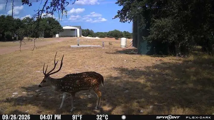 1393 Kc 2611, Roosevelt, TX 76874 - #2