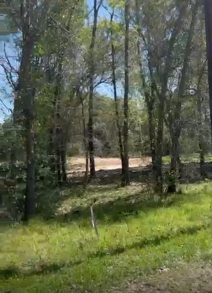 24961 Leitrim Street Street, Hempstead, TX 77445 - #2