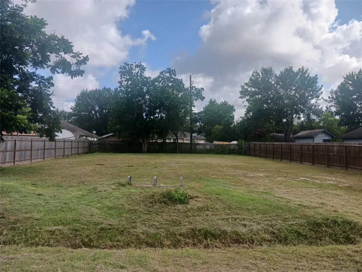 6217 Willow Dale Street, Houston, TX 77087 - #1