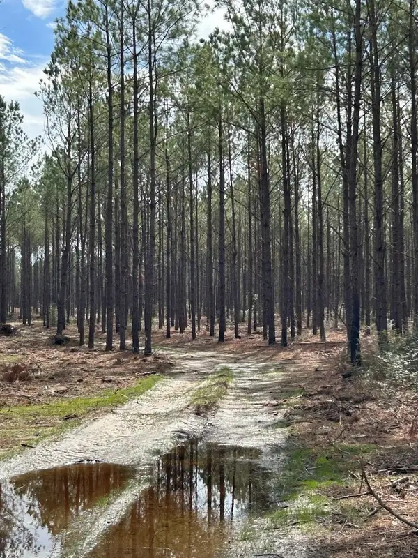 TRACT 7 Lloyd Walker Road, Huntington, TX 75949