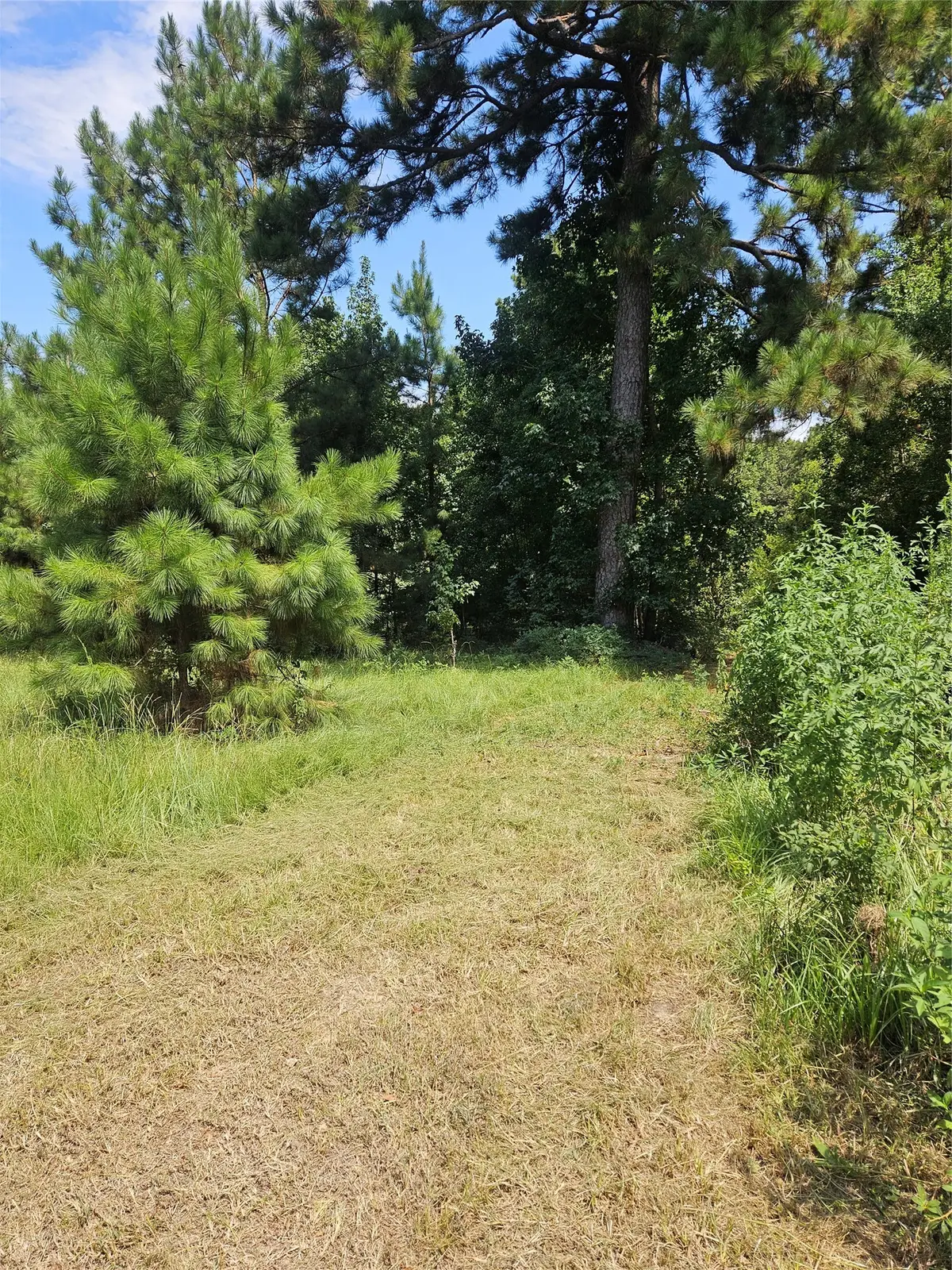 207 County Road 2210, Cleveland, TX 77327 - #1