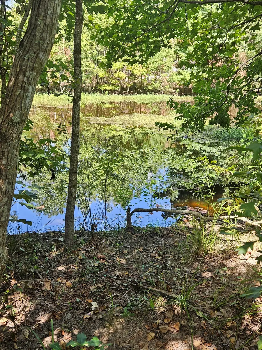 207 County Road 2210, Cleveland, TX 77327 - #2