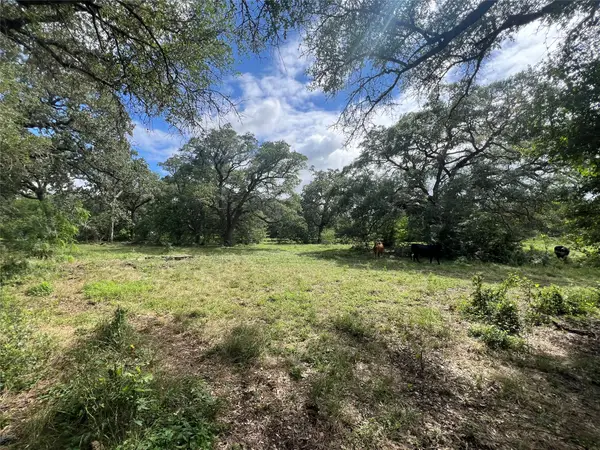 3500 Fm 1579, Schulenburg, TX 78956