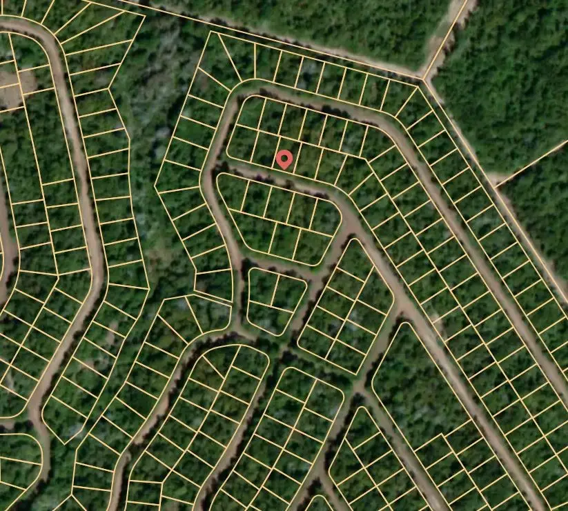 Lot 51 E Austin Colony, Normangee, TX 77871 - Image #3