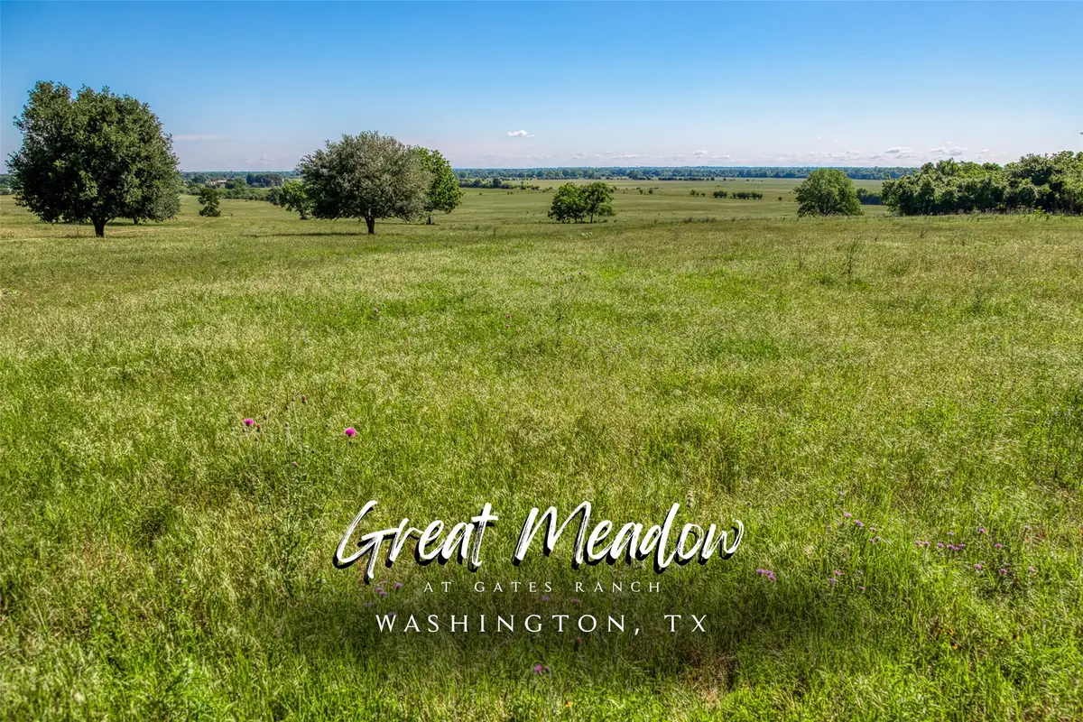 T B D T B D Farm To Market 2726 Road, Washington, TX 77880 - Image #1