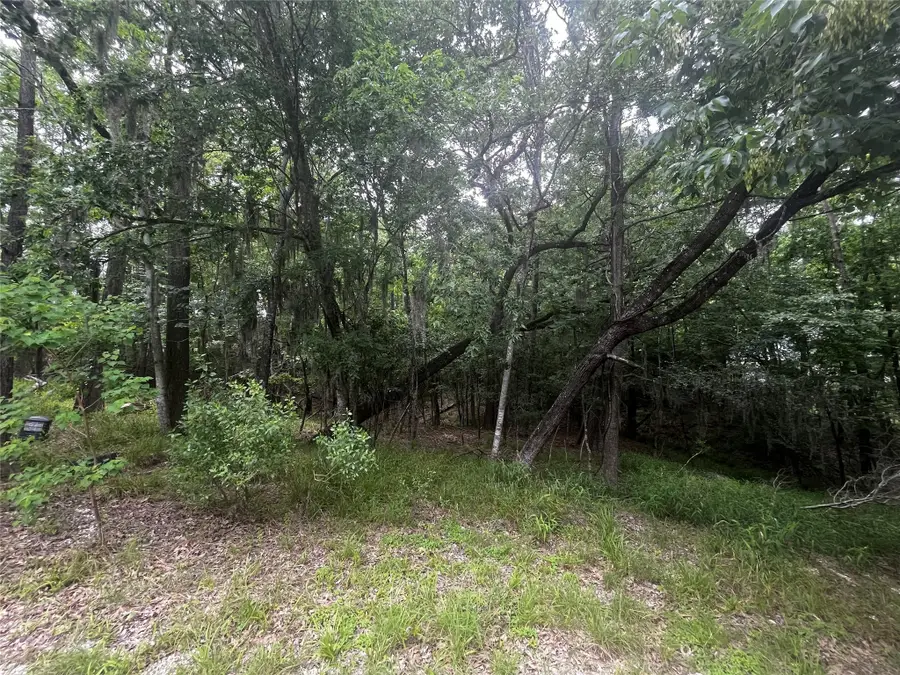 18 Timberon Lane, Coldspring, TX 77331 - Image #2