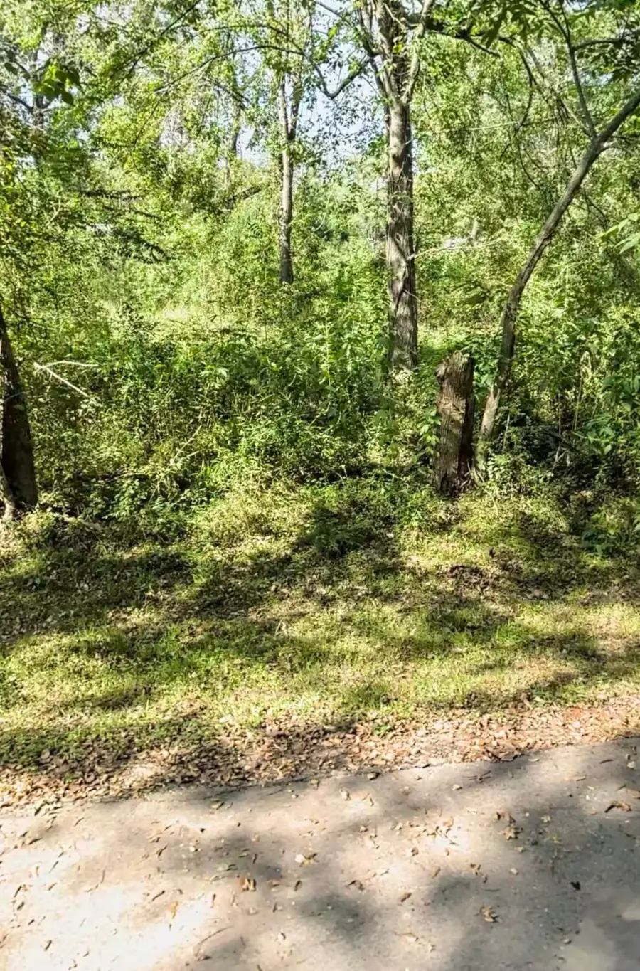 615 S 11th Street, Conroe, TX 77301 - #3