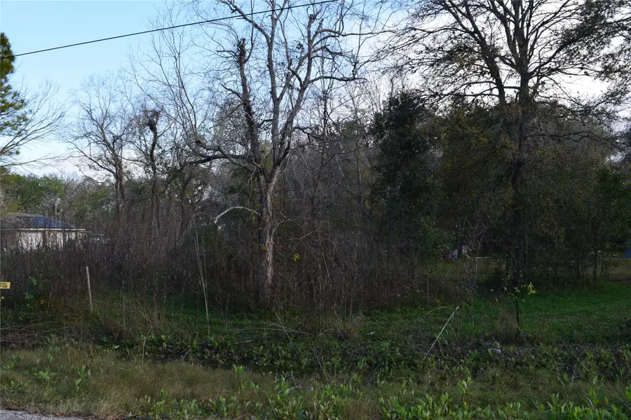 9721 Cr 544c, Manvel, TX 77578 - Image #2