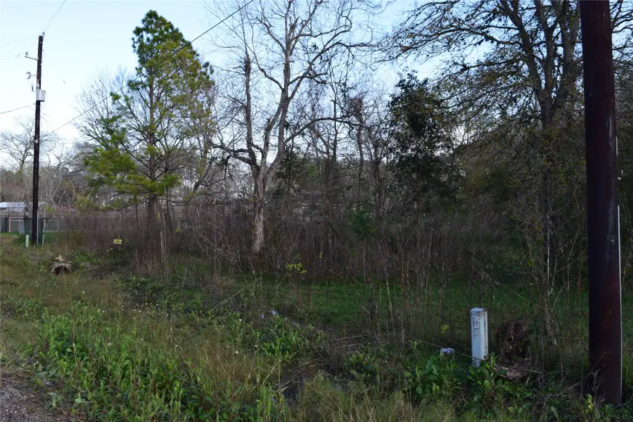 9721 Cr 544c, Manvel, TX 77578 - Image #3