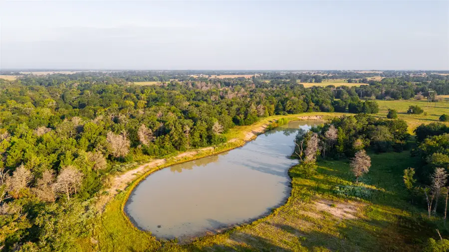113+/- AC Fellowship Ln Lane E, Madisonville, TX 77864 - #3