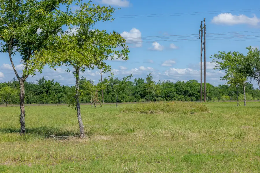 6781 Atakapan Trail, Bedias, TX 77831 - #3