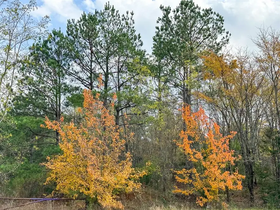 00 Cr 2115, Hughes Springs, TX 75656 - Image #2