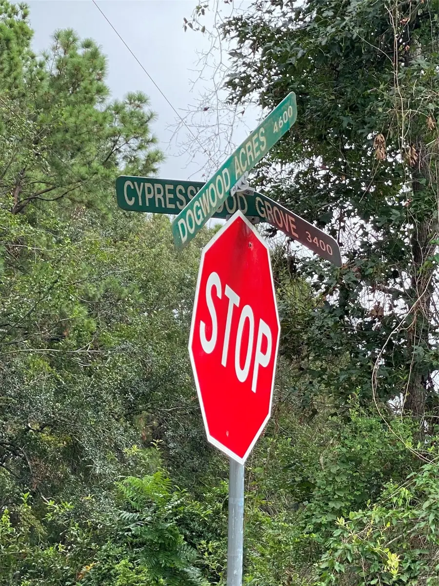 47 Dogwood Lane, Porter, TX 77365 - Image #2