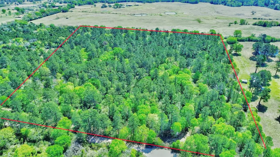 000 Cr 3495, Lovelady, TX 75851 - #3