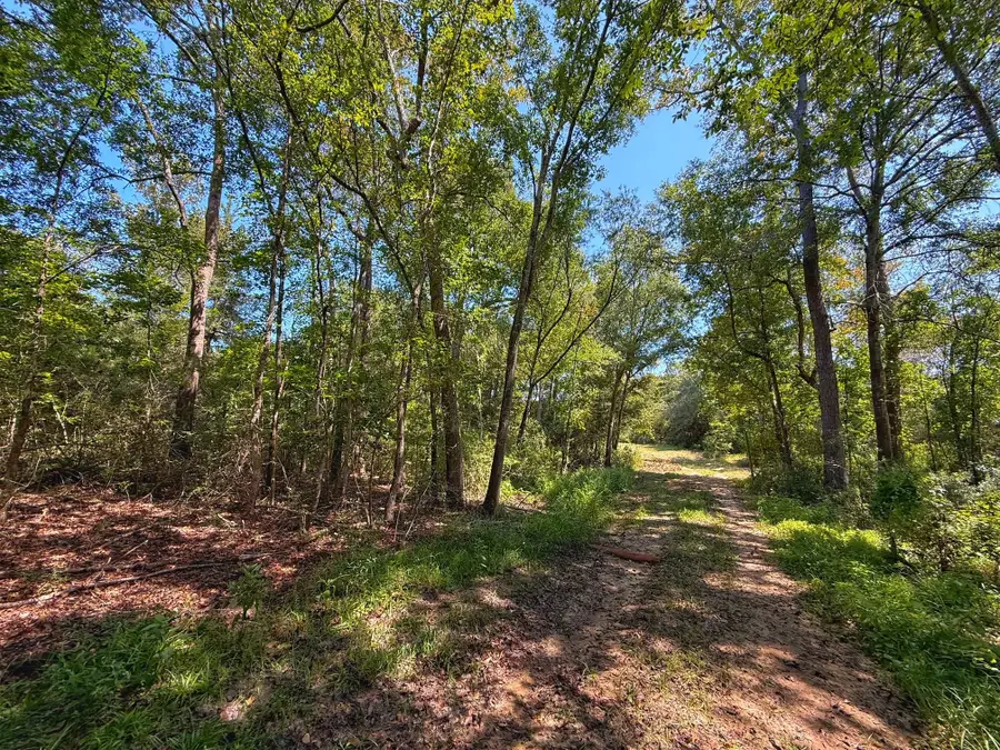 TBD Cr 129, Centerville, TX 75833 - Image #3