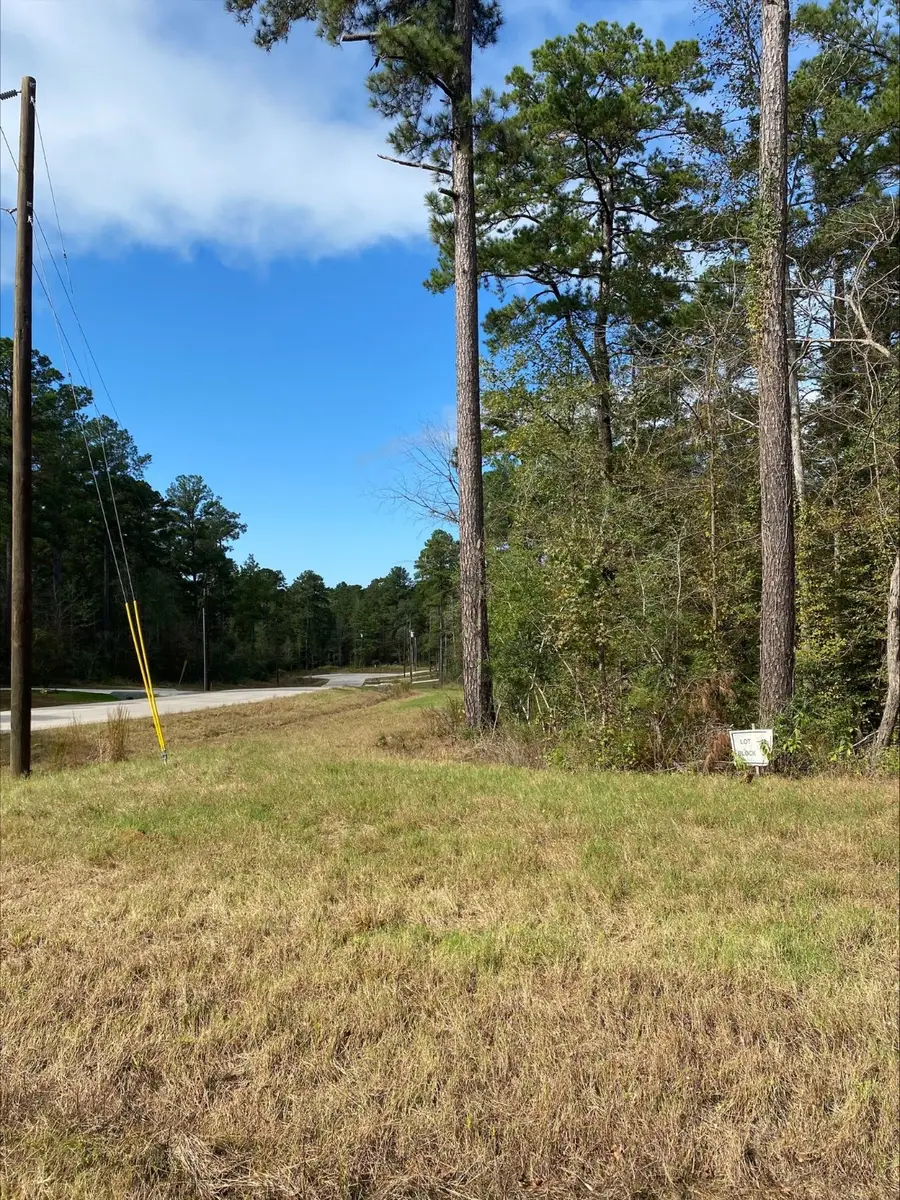 14-37-40 Sandpiper Drive, New Waverly, TX 77358 - Image #3