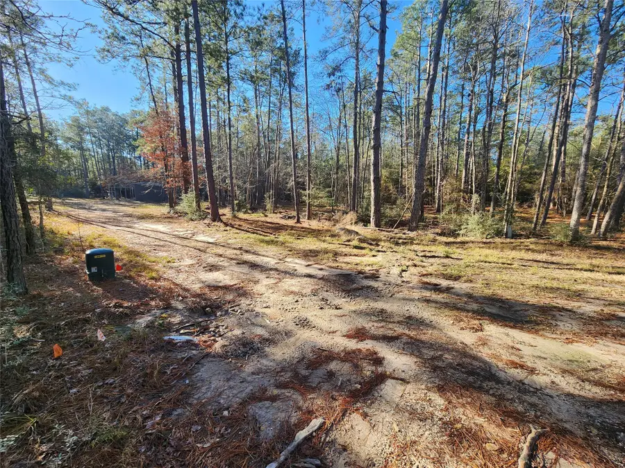 265 Sweet Gum Drive, Brookeland, TX 75931 - Image #3