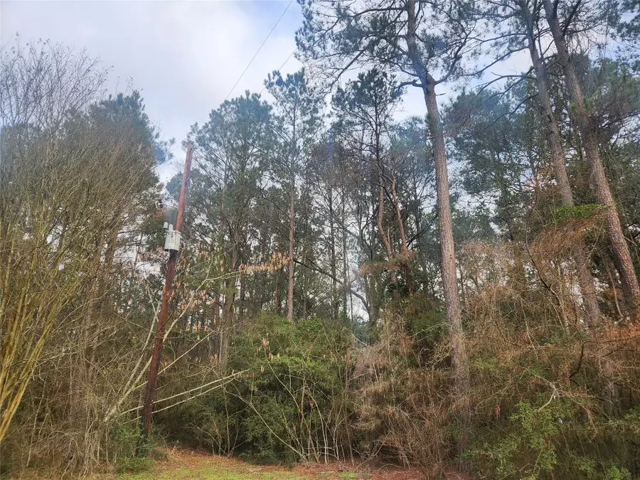 Lot 8 Soapberry Lane, Plantersville, TX 77363 - #2