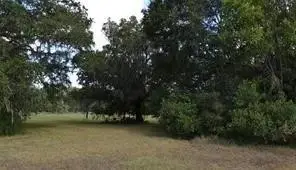401 Rancho Chico Trail, Angleton, TX 77515 - #3