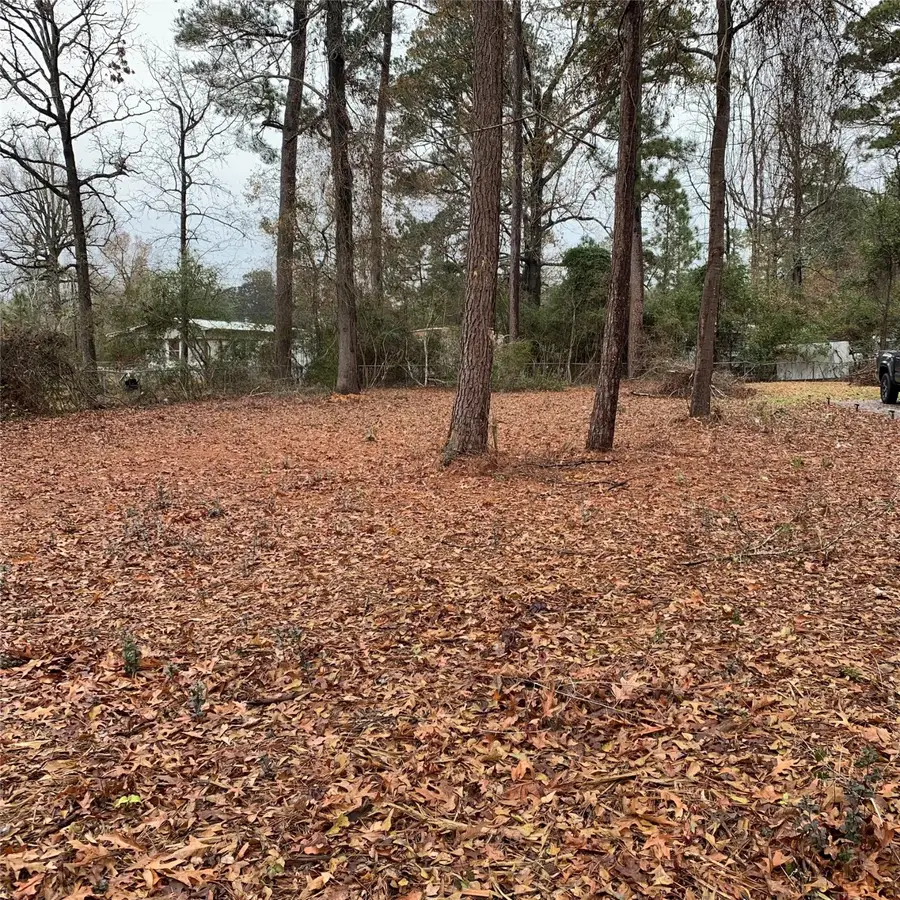 TBD Pecan, Onalaska, TX 77360 - Image #2