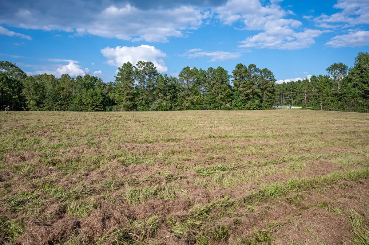 2424 County Road 3550, Woodville, TX 75979 - Image #1