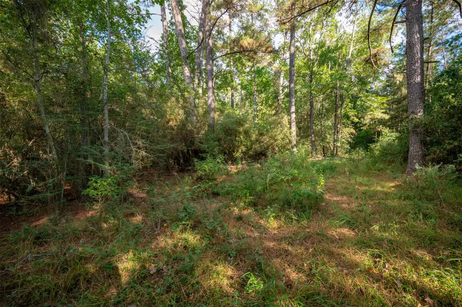 2424 County Road 3550, Woodville, TX 75979 - Image #3