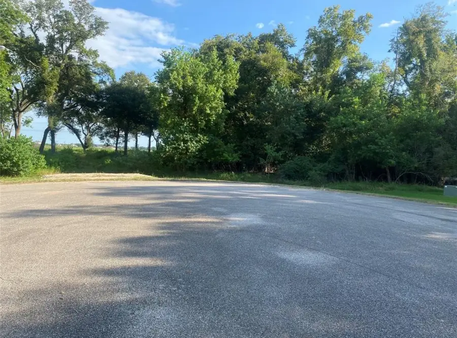 17850 Indian Forest Court, Rosharon, TX 77583 - #3