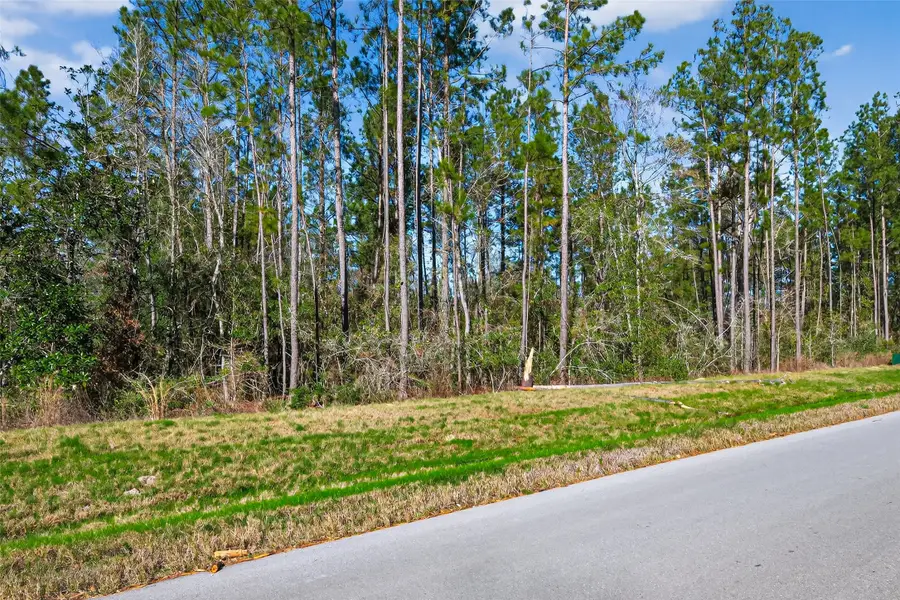 11623 Dawn Tree Lane, Willis, TX 77378 - Image #2