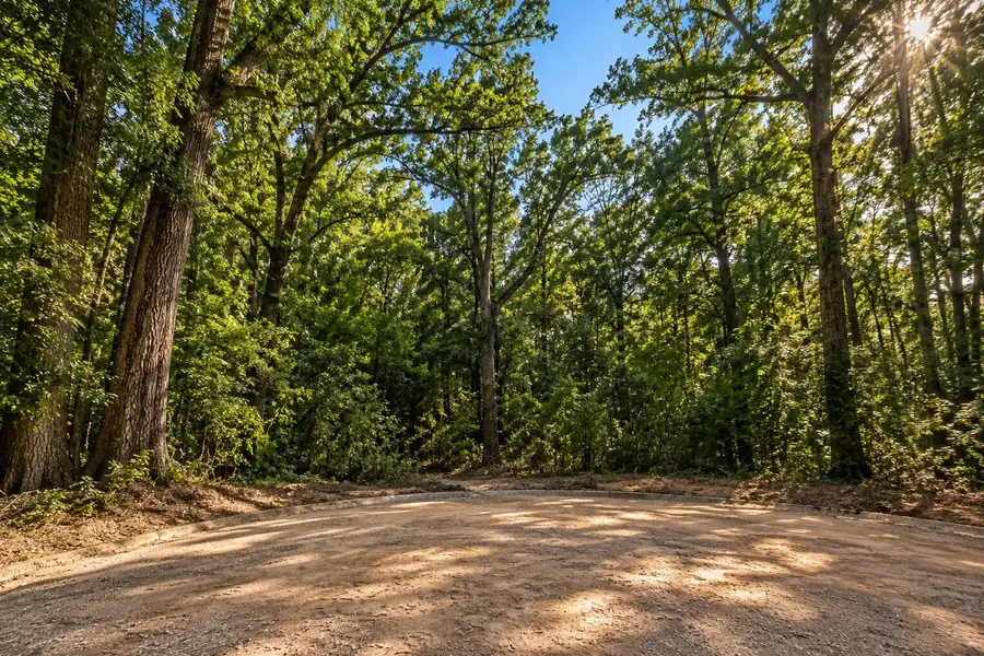 1-7-9 Legacy Court, New Waverly, TX 77358 - #2