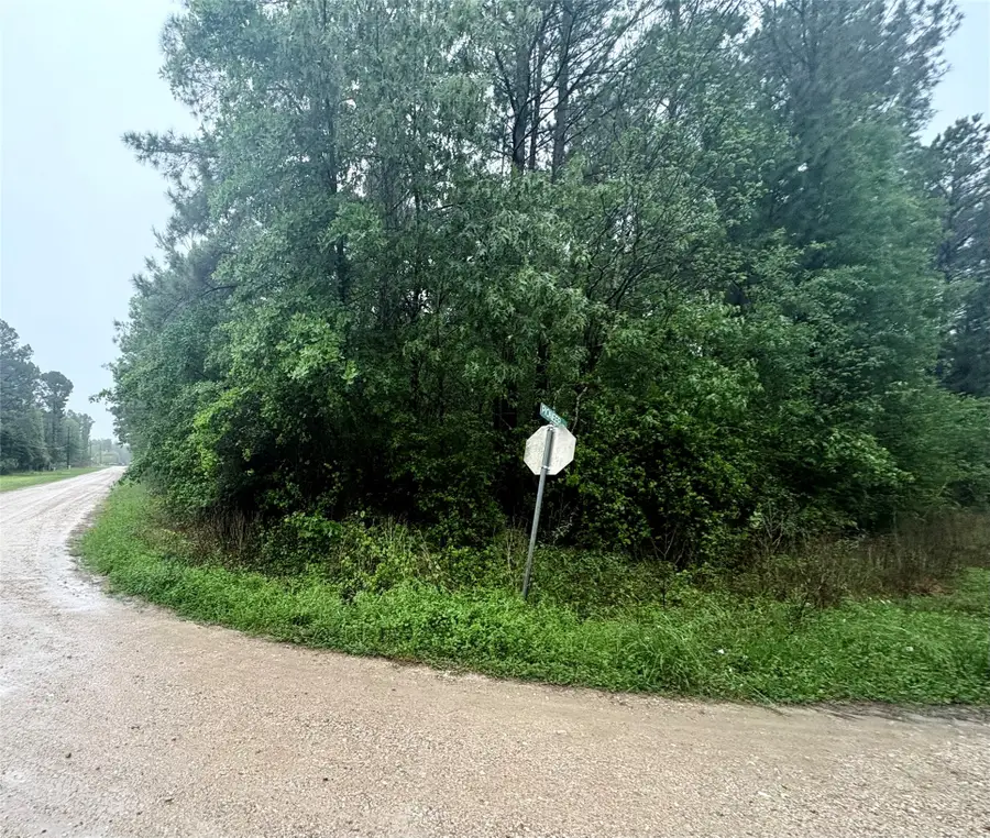 0 Meadowlark Lane, Livingston, TX 77351 - #2