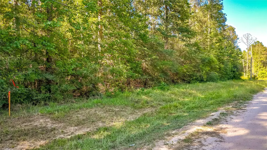 TBD 28 Timbergrove, Livingston, TX 77351 - #2